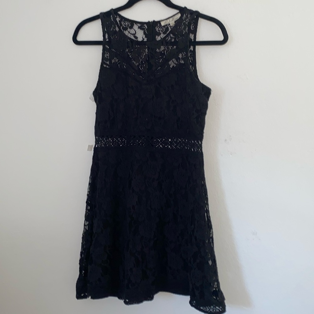 Rebellion Black Lace Sleeveless Fit & Flare Mini Dress